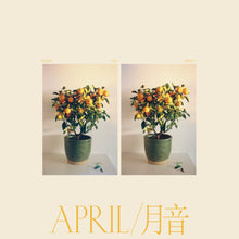 the album cover for Emmy The Great - April