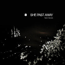 the album cover for She Past Away - Narin Yalnizlik
