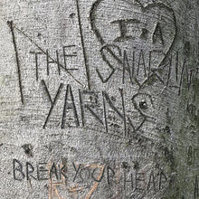 the album cover for Snarlin Yarns - Break Your Heart
