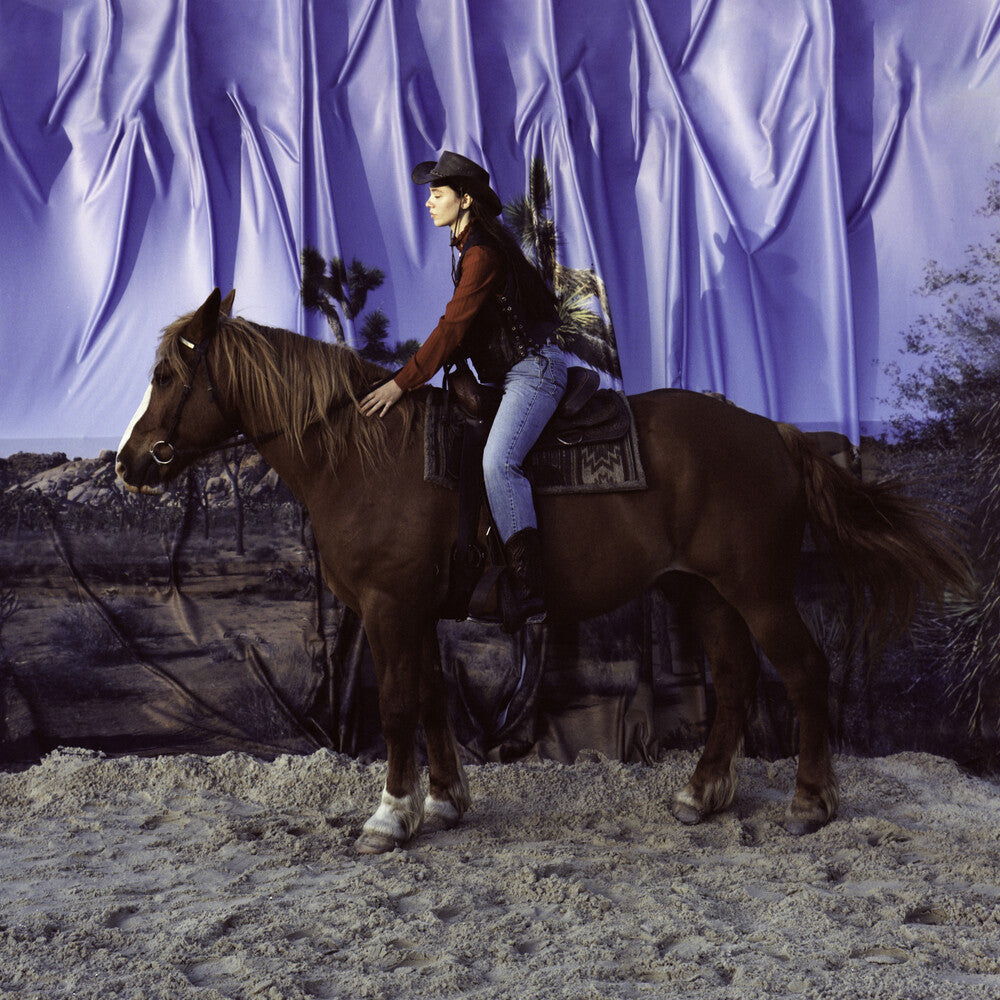 the album cover for The Holy Motors - Horse [LP]