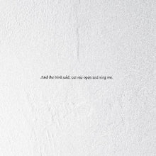 the album cover for Prairie - Bird Said: Cut Me Open And Sing Me [Clear Vinyl] [180 Gram]
