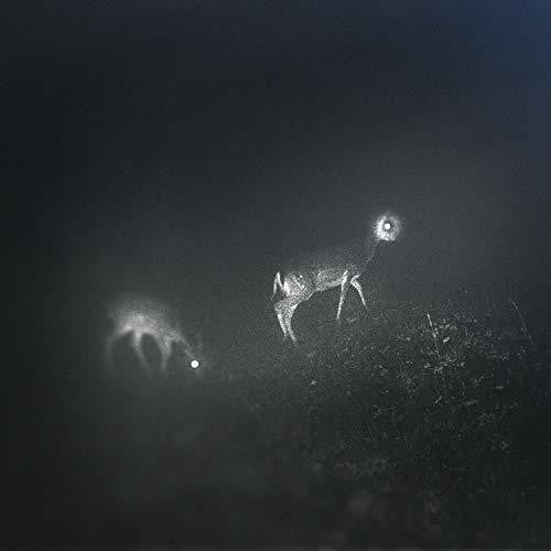 the album cover for Bliss Signal - Bliss Signal [Limited Edition]