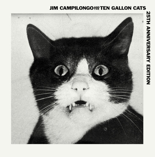 the album cover for Jim Campilongo / Ten Gallon Cats - Jim Campilongo & Ten Gallon Cats