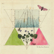 the album cover for The Way Down Wanderers - Illusions [LP]