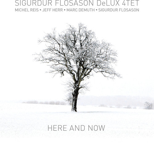 Sigurdur Flosason - Here & Now [CD]