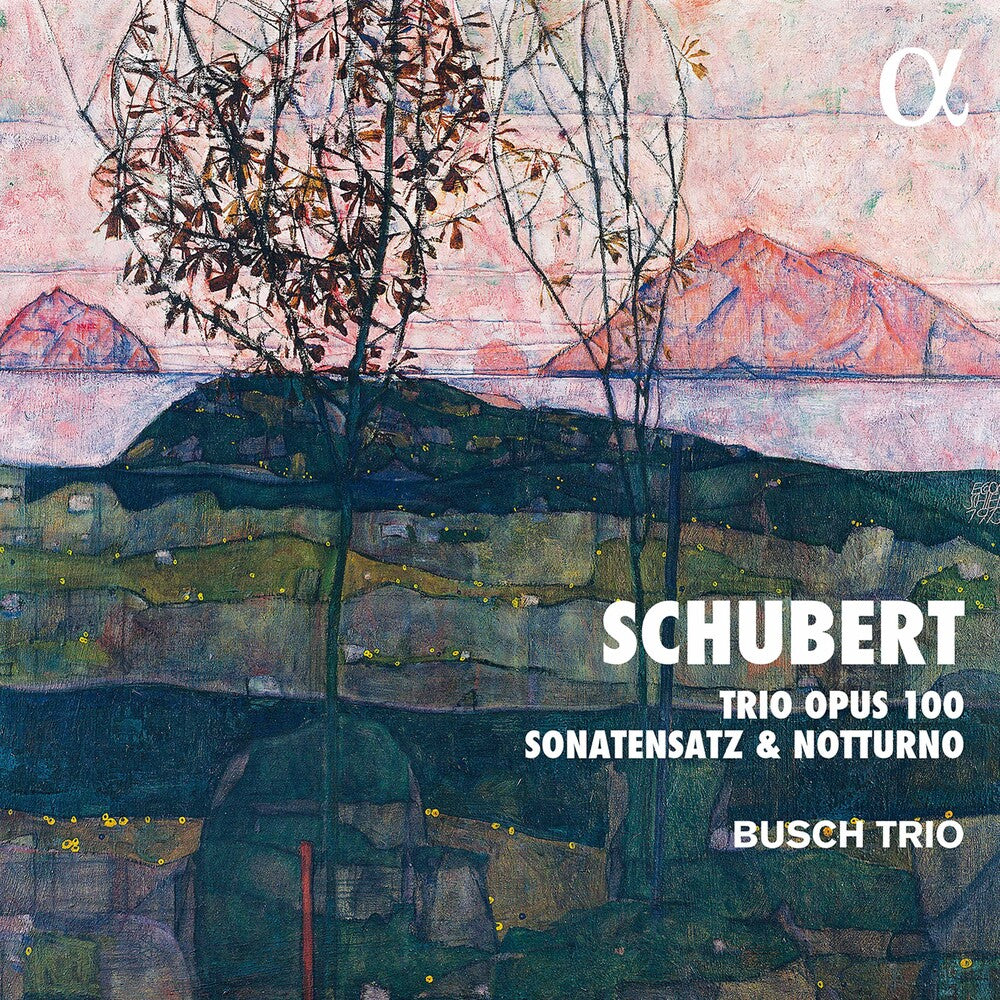 Schubert / Busch Trio - Trio 100 [CD]