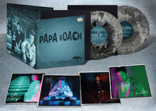 Papa Roach - Greatest Hits Vol.2 The Better Noise Years [US Exclusive Smoke 2LP] Vinyl Record