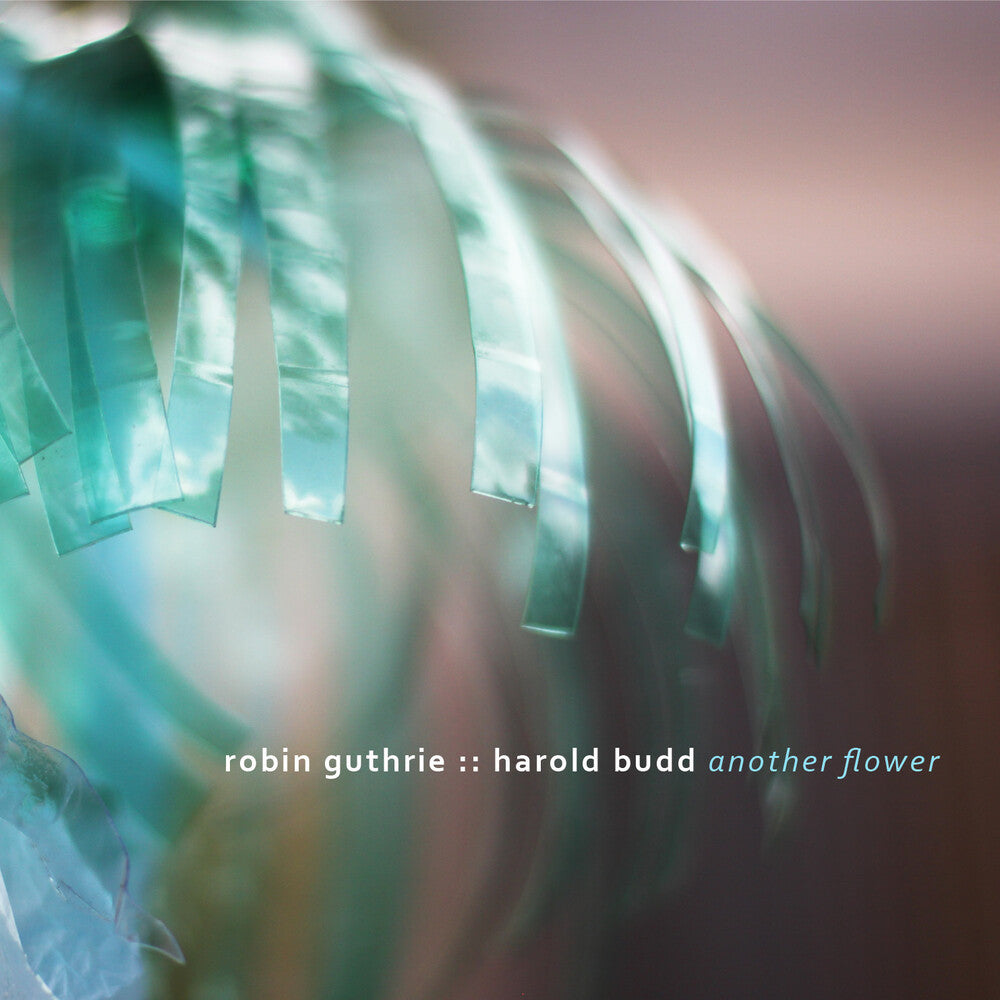 the album cover for Robin Guthrie / Budd,Harold - Another Flower [Digipak]