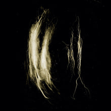 the album cover for My Heart An Inverted Flame - Plague Notes