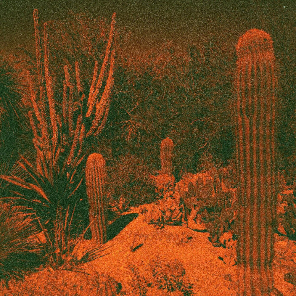 the album cover for Cameron Knowler  / Winter,Eli - Anticipation