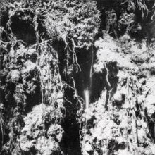 the album cover for Den Sorte Dod - Den Sorte Dod