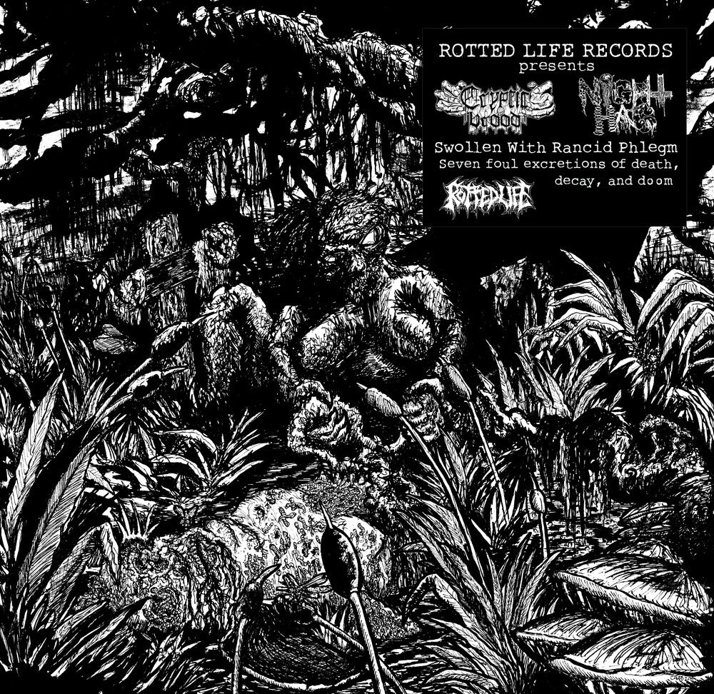 the album cover for Cryptic Brood & Night Hag - Swollen With Rancid Phlegm