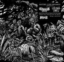 the album cover for Cryptic Brood & Night Hag - Swollen With Rancid Phlegm