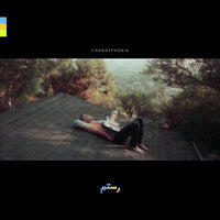 the album cover for Rostam - Changephobia [LP]