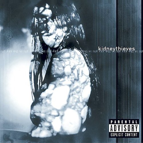 the album cover for Kidneythieves - Phi in the Sky