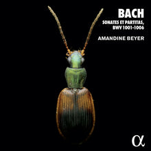 the album cover for J Bach .S. / Beyer - 6 Violin Sonatas & Partitas (2pk)