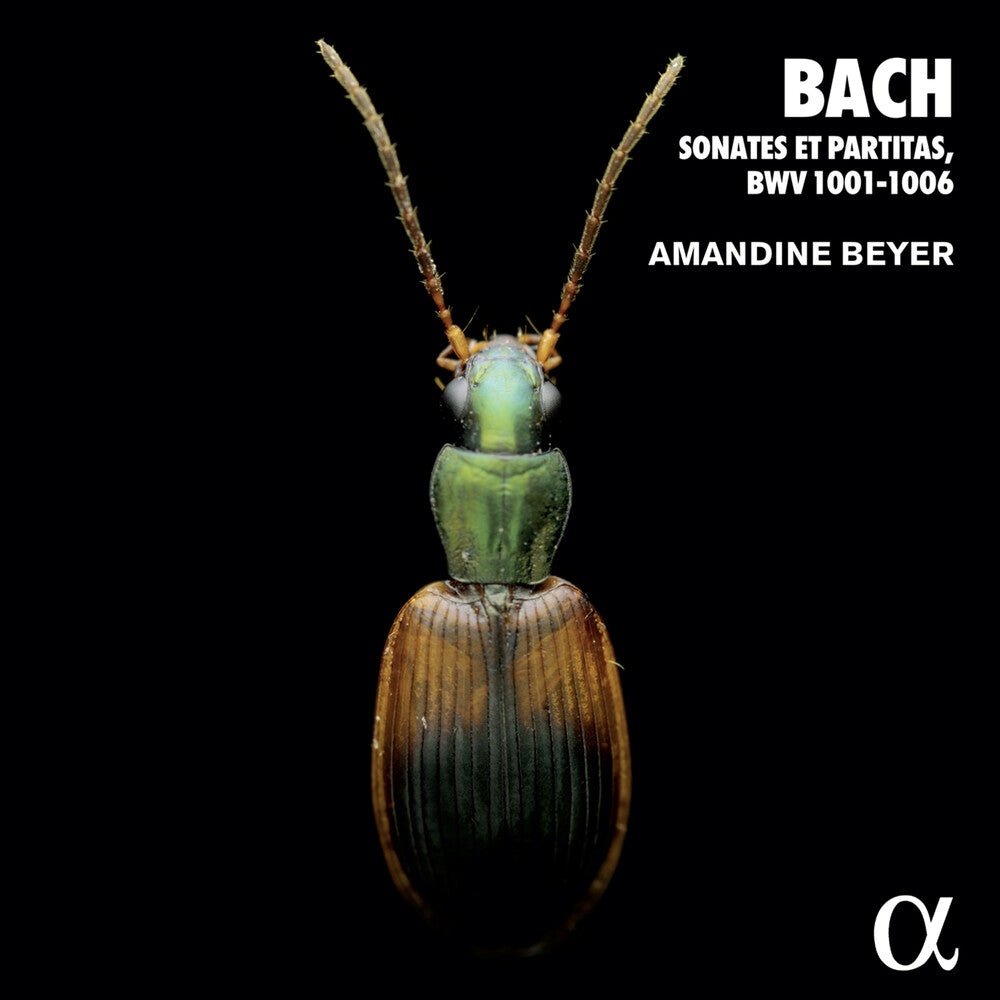 J Bach .S. / Beyer - 6 Violin Sonatas & Partitas (2pk) [CD]