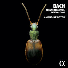 J Bach .S. / Beyer - 6 Violin Sonatas & Partitas (2pk) [CD]