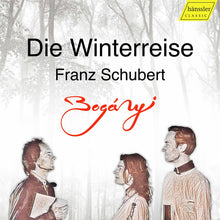 the album cover for Schubert / Dent-Boganyi - Die Winterreise 89