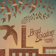 the album cover for Brad Kolodner - Chimney Swifts