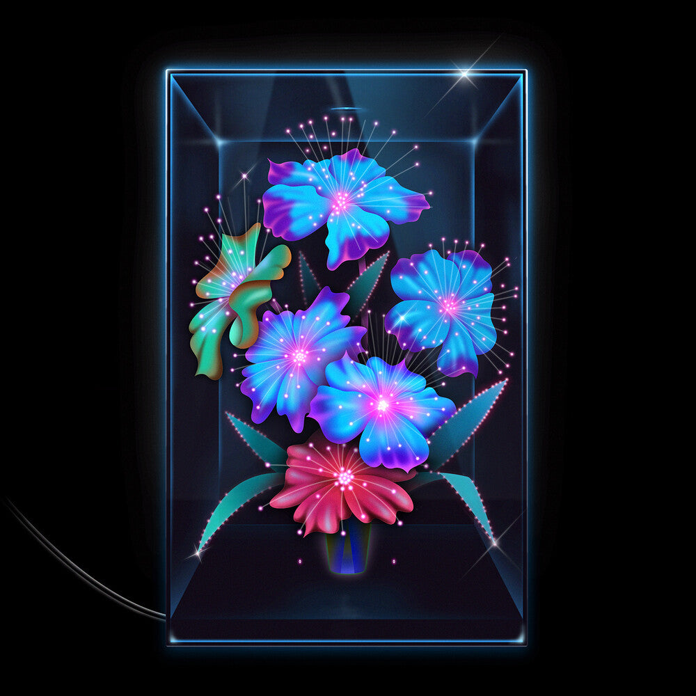 the album cover for Xenia Rubinos - Una Rosa [LP]