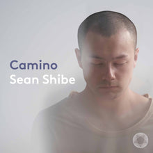 the album cover for Falla / Shibe - Camino