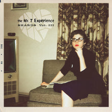 the album cover for Mr. T Experience - Shards Vol. 3