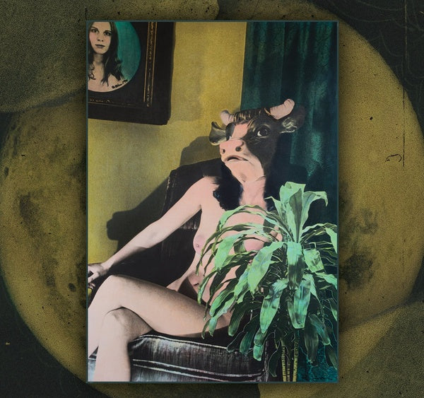 Mother Moon [CD]
