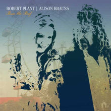 Robert Plant & Alison Krauss - Raise The Roof [CD]