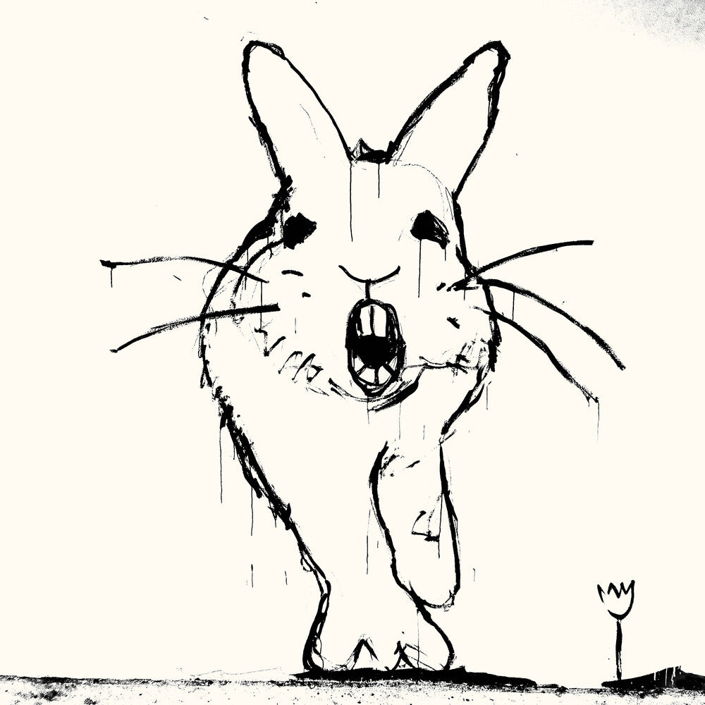 the album cover for Beat Happening - Crashing Though / This Many Boyfriends Club