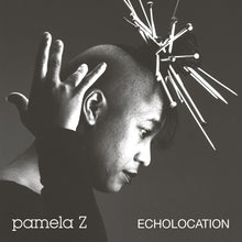 the album cover for Pamela Z - Echolocation (Natural Swirl Vinyl) [Colored Vinyl]