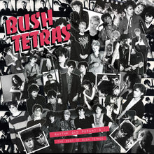 the album cover for Bush Tetras - Rhythm & Paranoia: The Best Of Bush Tetras