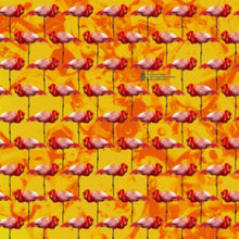 Elephant Chateau - Dreamings & Offshore Drilling - Pearls & Turtles - LP Vinyl