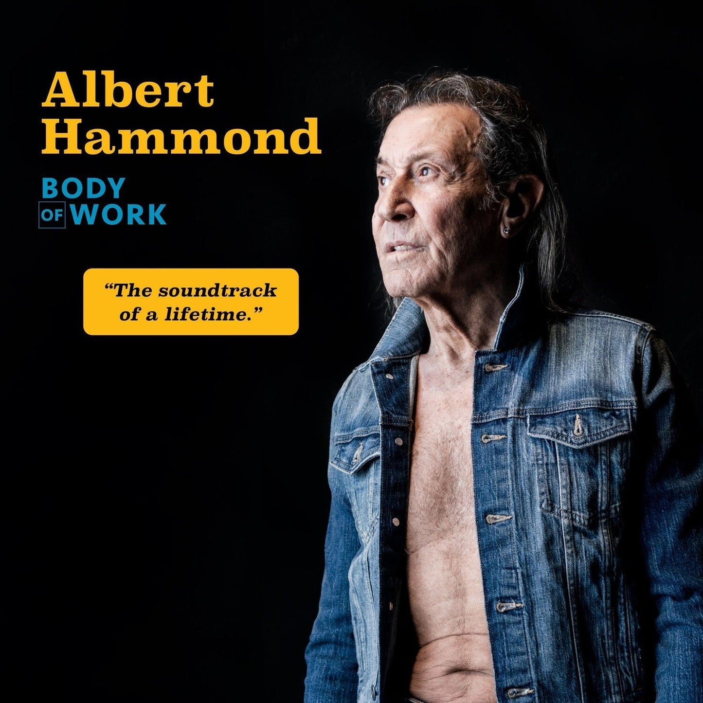 Body Of Work (2LP)