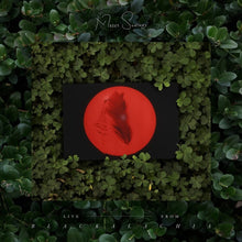 the album cover for Moses Sumney - Live From Blackalachia [2LP]