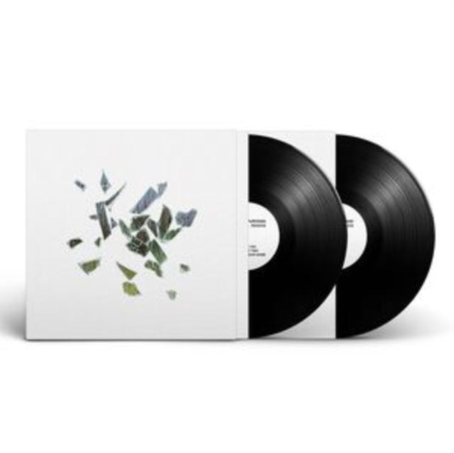 These New Puritans - Field Of Reeds (2LP)