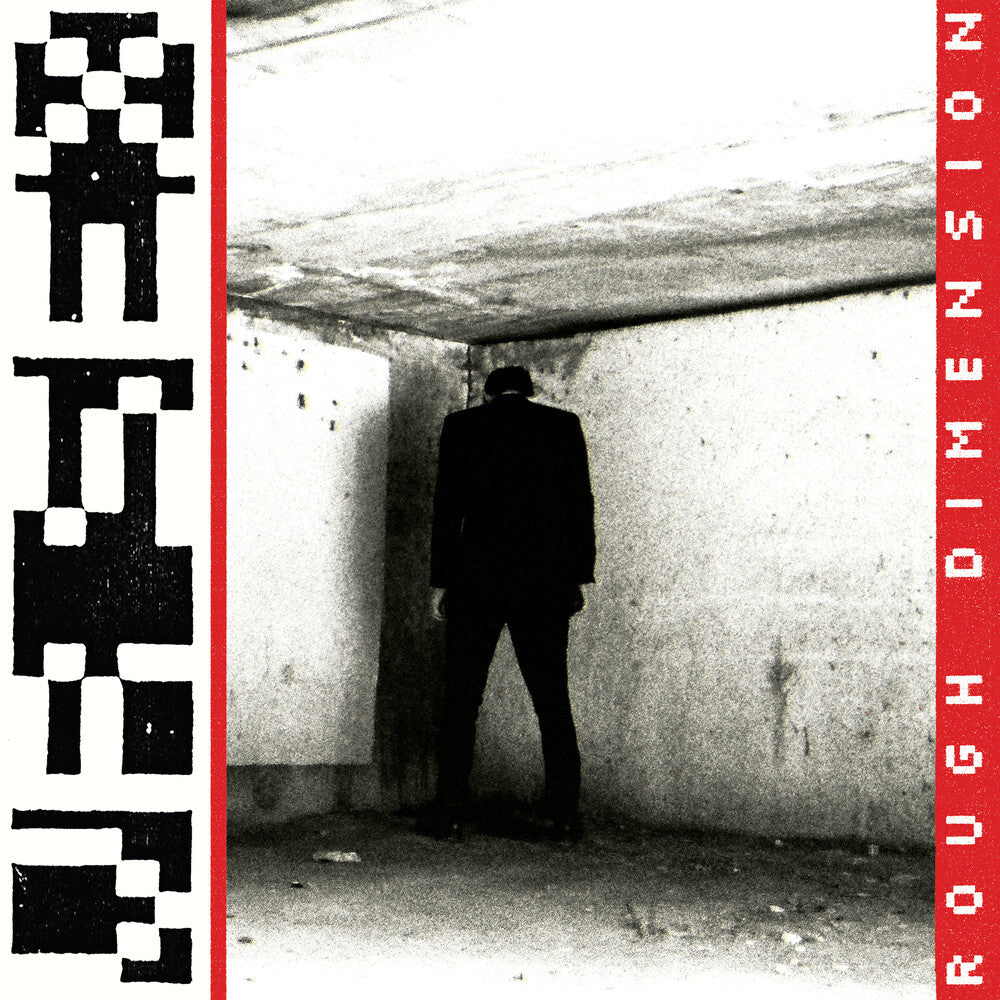 the album cover for VR SEX - Rough Dimension [LP]