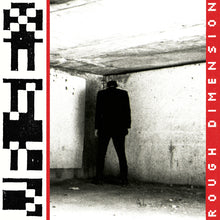 the album cover for VR SEX - Rough Dimension [LP]
