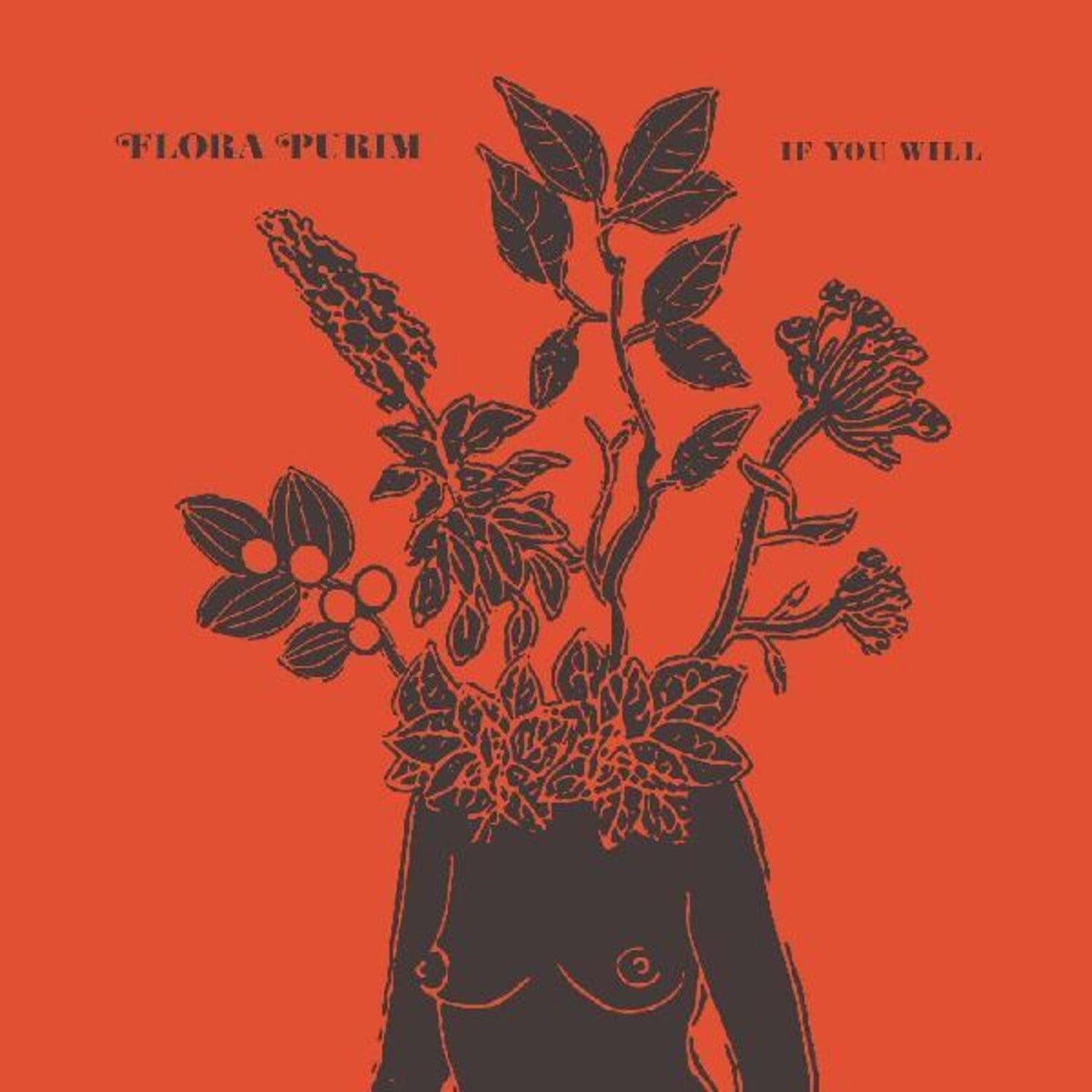 If You Will (Clear LP Vinyl)
