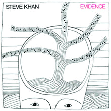 the album cover for Steve Khan - Evidence