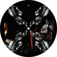 the album cover for Lilly Palmer - We Control