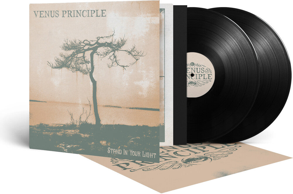 the album cover for Venus Principle - Stand In Your Light (Gate)