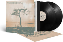 the album cover for Venus Principle - Stand In Your Light (Gate)