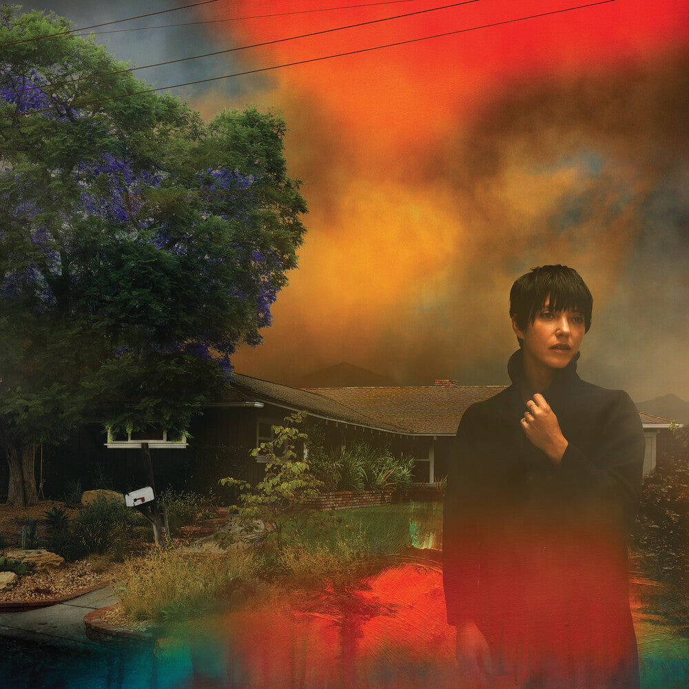 Sharon Van Etten - We've Been Going About This All Wrong [Marbled Smoke LP] Vinyl Record