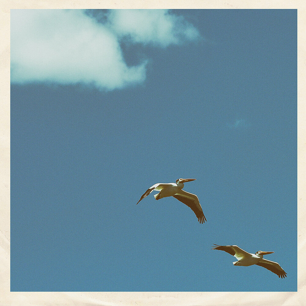 the album cover for Sim Nagai - Palm Dreams