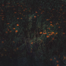 the album cover for Compro Oro - Estarantos