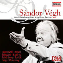 Bartok - Sandor Vegh Conducts (Box) [CD]
