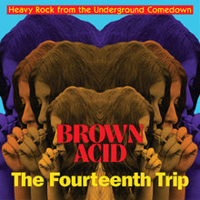 Brown Acid - Fourteenth Trip / Various Artists - Brown Acid - Fourteenth Trip (Various Artists) [CD]