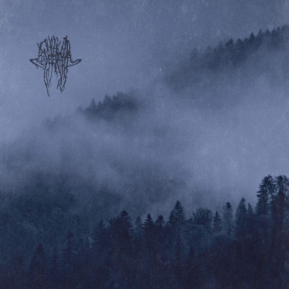 the album cover for Severoth - When The Night Falls