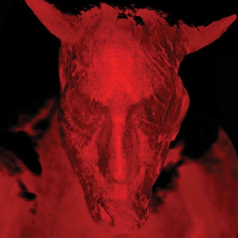 the album cover for Diamanda Galas - Broken Gargoyles